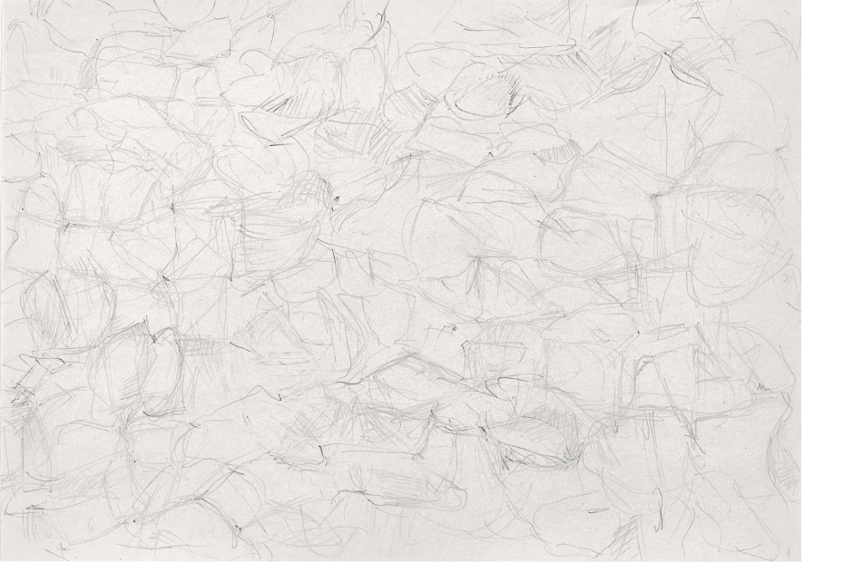 Geroell VII 2016 Bleistift auf Papier je 205 293 cm
